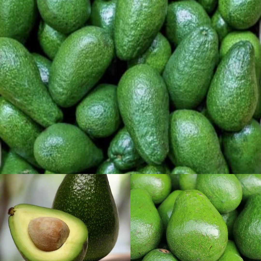 “Top Health Benefits of Avocado Pearls: Nutrition, Skin, and Heart Wellness”