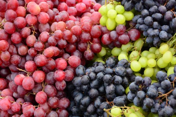 Health Benefits of Grapes – Nature’s Sweet Powerhouse